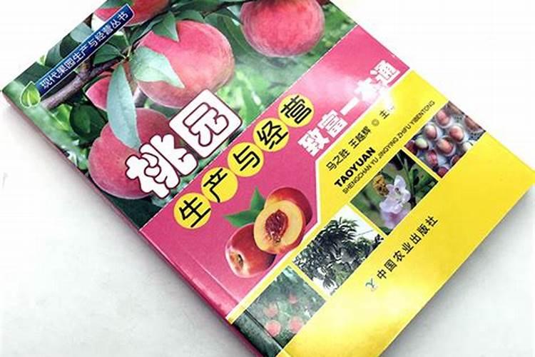 玉米秃尖什么原因