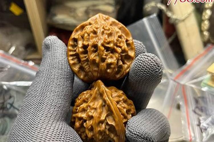 一般来说文玩核桃树苗几年挂果？需要注意哪些问题？注意事项是什么？
