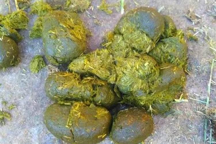 白菜用包心剂好还是用膨大素好？