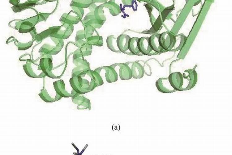 益施帮氨基酸水溶肥