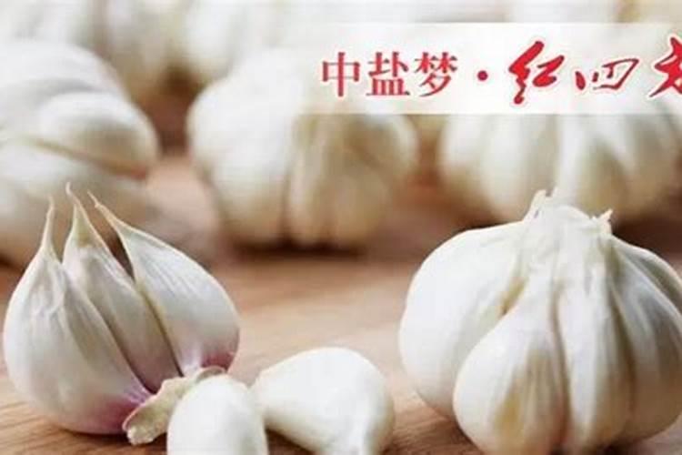 大蒜施肥最佳时间