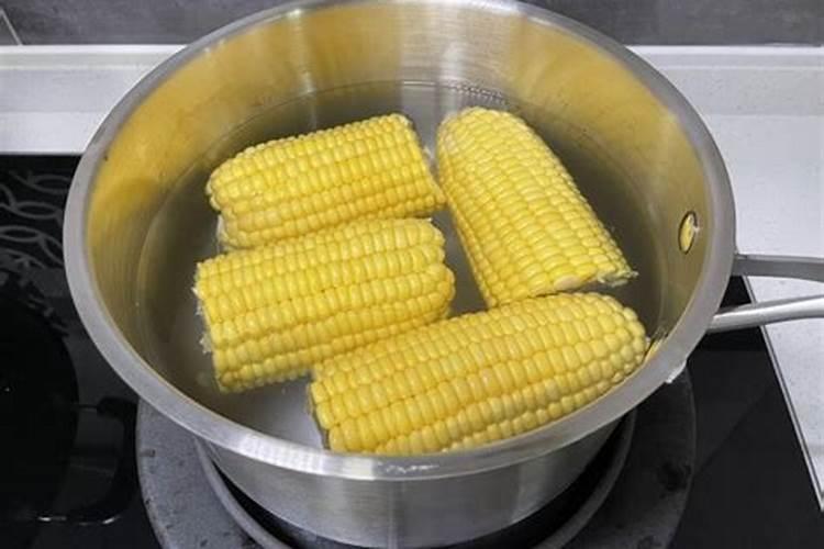 玉米当肥料效果如何？