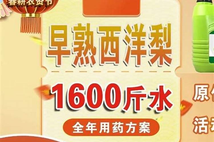 果树花后喷第一遍药的最佳时机!