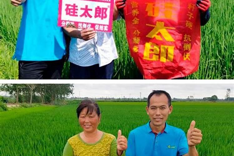 吴新雄个人履历