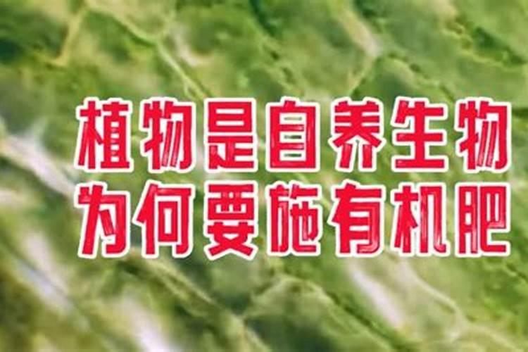化肥最常用的种类有哪几种？