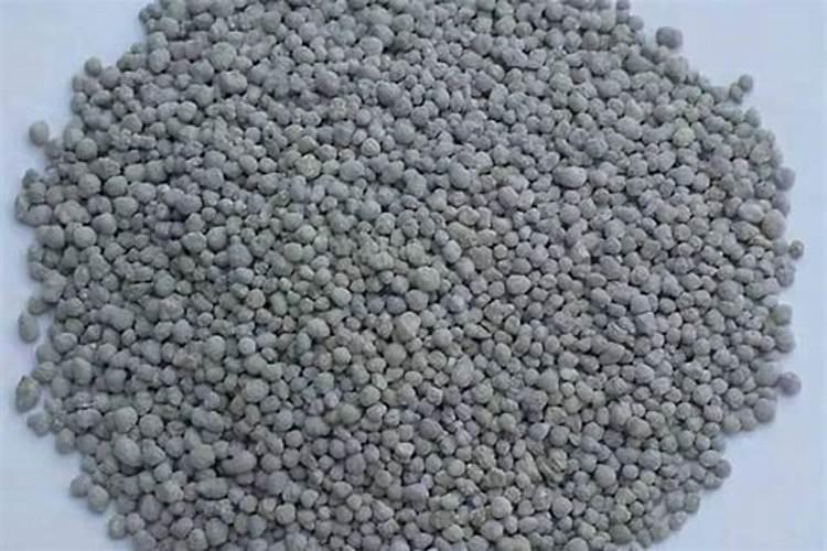 植物什么时候施用磷肥