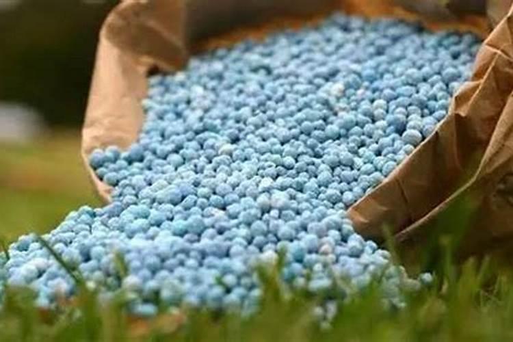 请问老师:芹菜用什么药控旺？