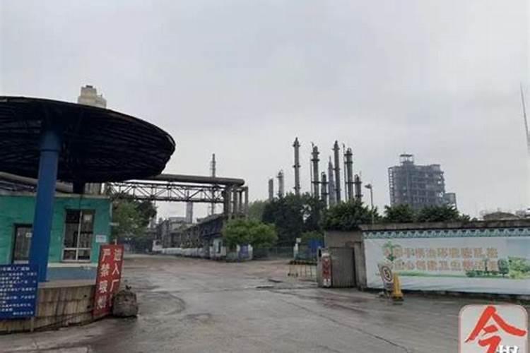 硅谷肥都有什么含量？