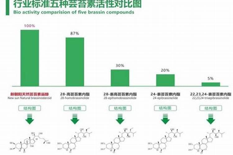 小麦越冬期使用芸苔素的时间