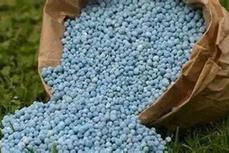 草坪用什么含量的肥料最好