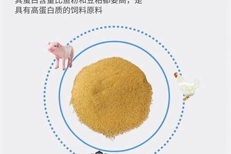 简阳的通威草鱼料多少钱1吨？