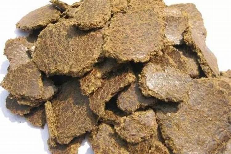 饼肥怎样腐熟