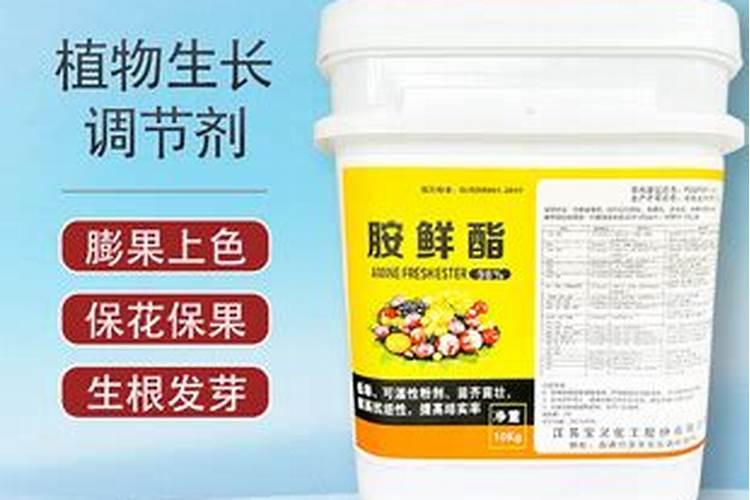 青菜浇什么肥料最旺