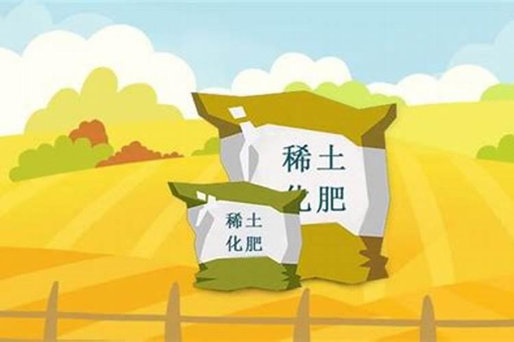 玉树多久浇一次水