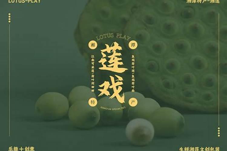 湘莲的种植技术