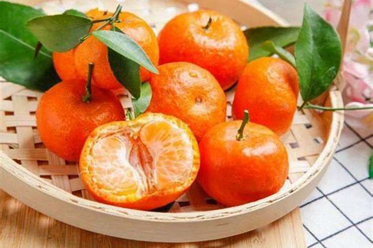 盐碱地种玉米用什么肥料最好