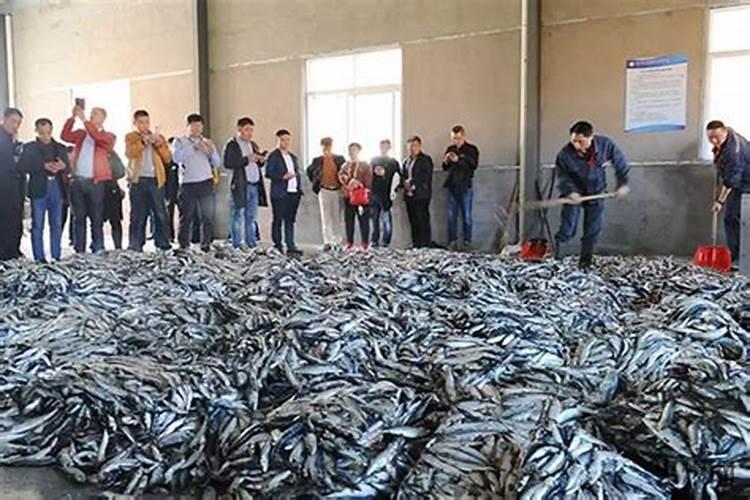 种马铃薯用什么肥料最好