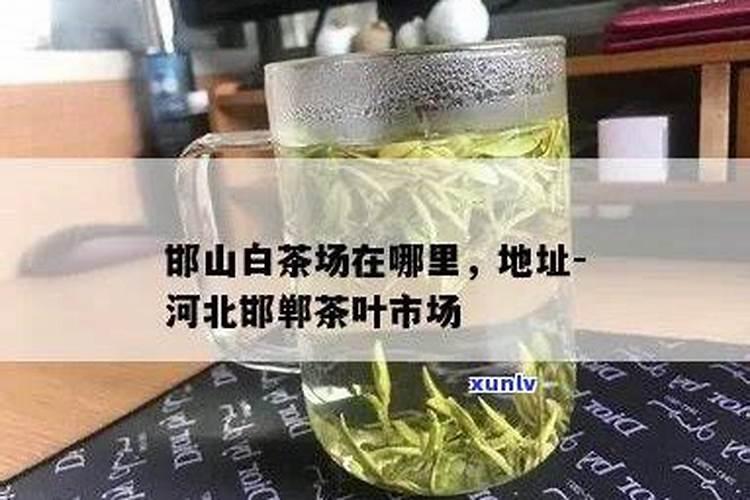 有机茶怎么种如何选