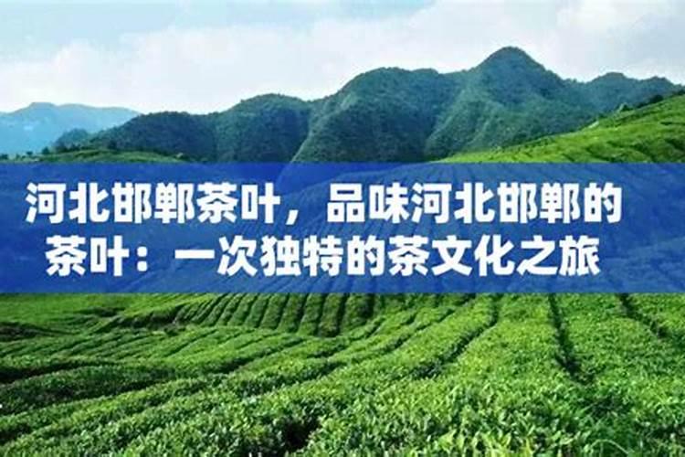 茶叶种植技术