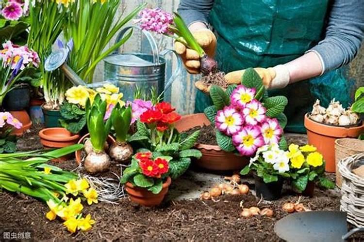 腊梅喜肥吗 喜欢施什么肥料