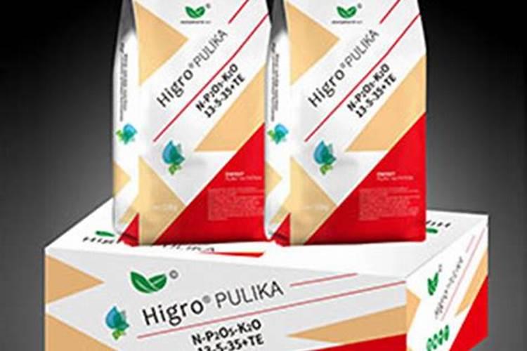根系发达的仙人类植物有哪些？
