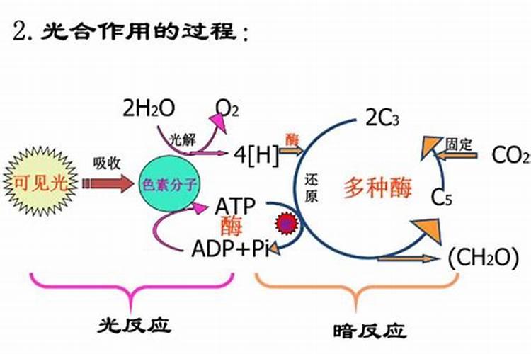 草坪对钾肥的要求特点