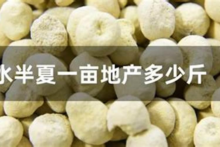 大蒜浇第一遍冲什么肥
