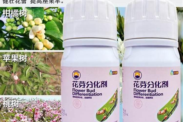 硼肥的用量作用及使用方法