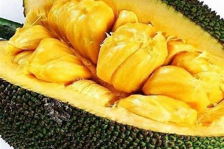 香蕉新种的小苗,用什么肥比较好？