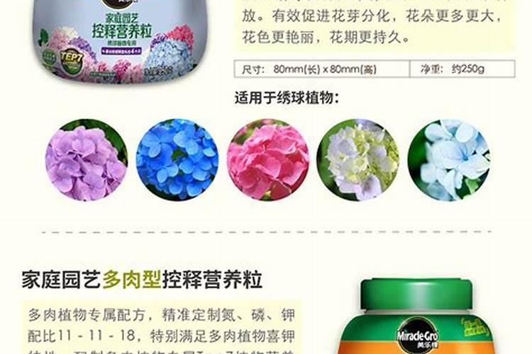 颗粒肥料给多肉怎么用