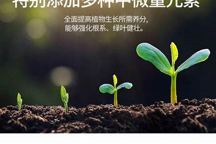 小度玉米打了营养液能放花肥吗？