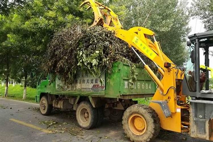 樱桃十月份能追肥吗