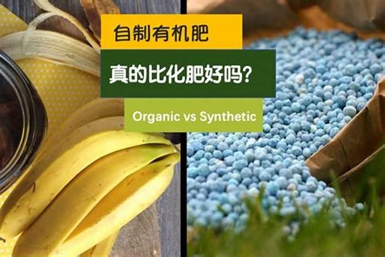 有机肥和复合肥哪个好