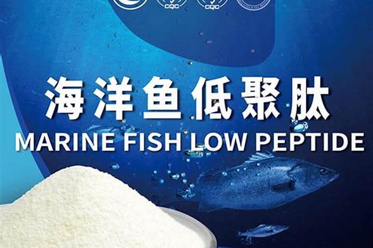 青衣鱼和黄衣鱼哪个贵一点