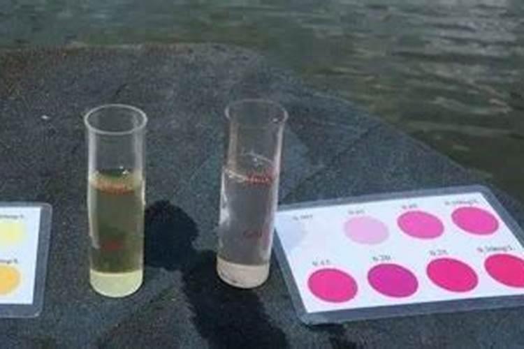 泡菜里面的亚硝酸盐是怎么产生的？