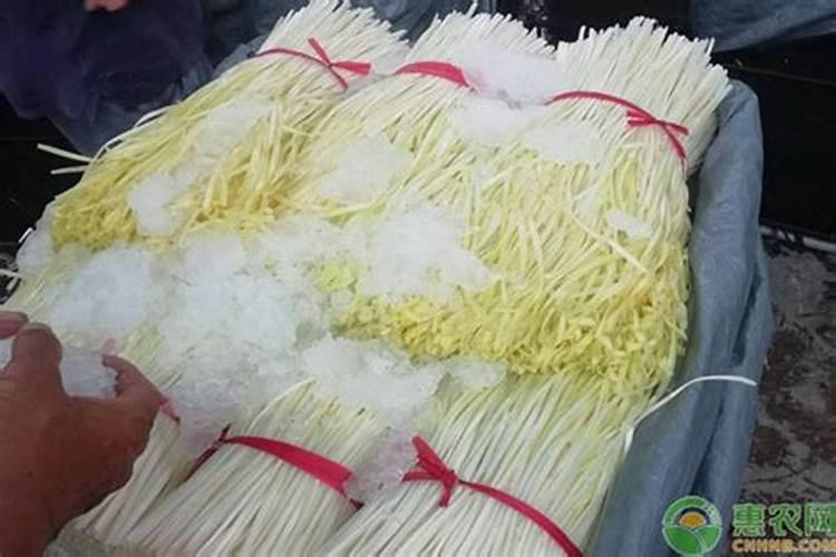 尿素撒地里多长时间失效
