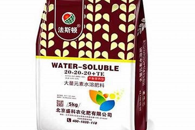 水培芡实盆栽怎么种 芡实的养殖方法