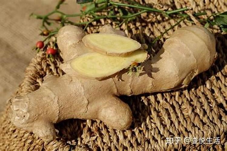 最适宜姜的肥料是什么
