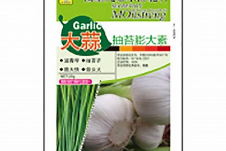 给大蒜冲什么肥料和药好