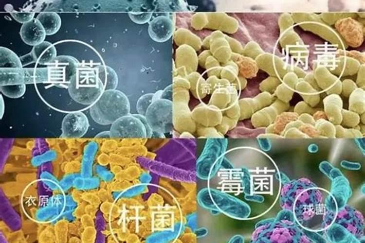 草坪施尿素肥的方法