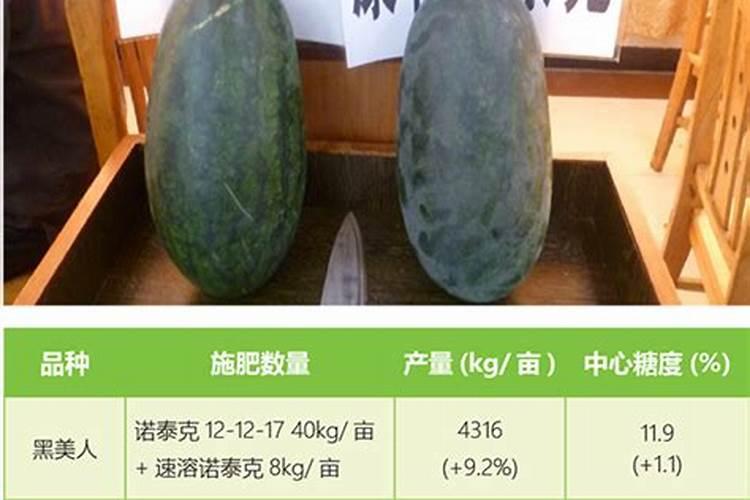 我买的西瓜表面不光滑,有凸起,为什么
