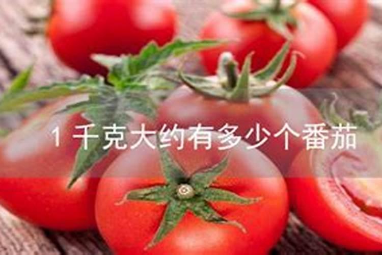 西红柿需要的氮磷钾比例