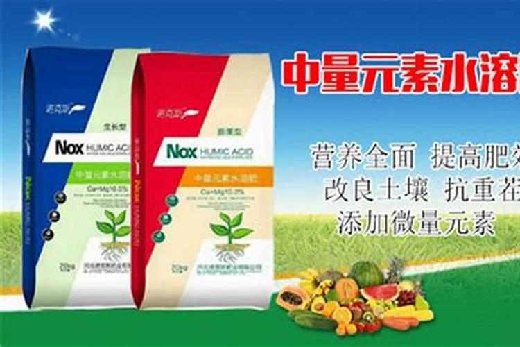 多肉植物可以施氮肥吗