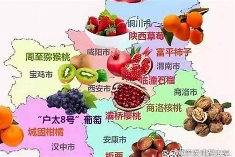 苹果亩产多少斤