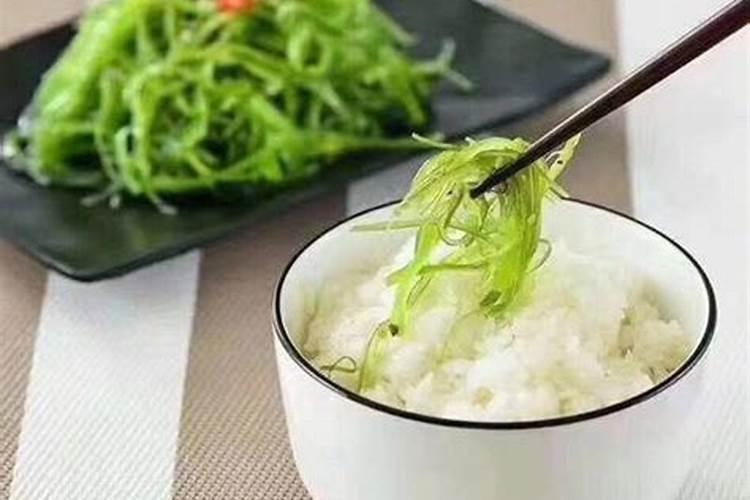 海藻怎么养