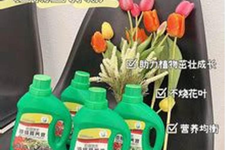 花卉叶面肥用什么好 花卉叶面肥浓度多少合适