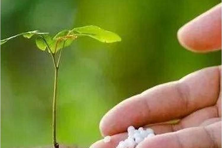 试述如何确定施肥量。