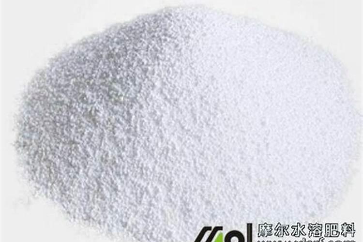 花卉食叶害虫要怎样防治？