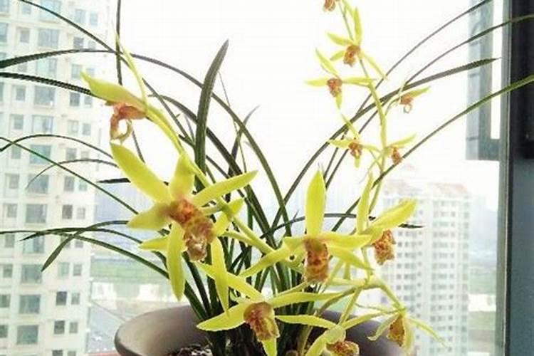 花生发生烂果,是什么原因造成的,要如何防治呢？