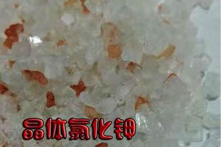 氯化钾肥效多长时间